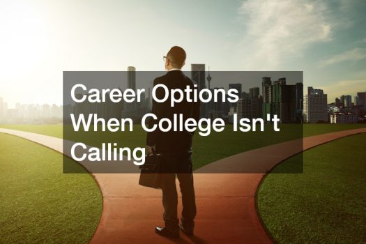 Career Options When College Isnt Calling